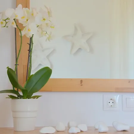 Hawk Stone アパート アダマス