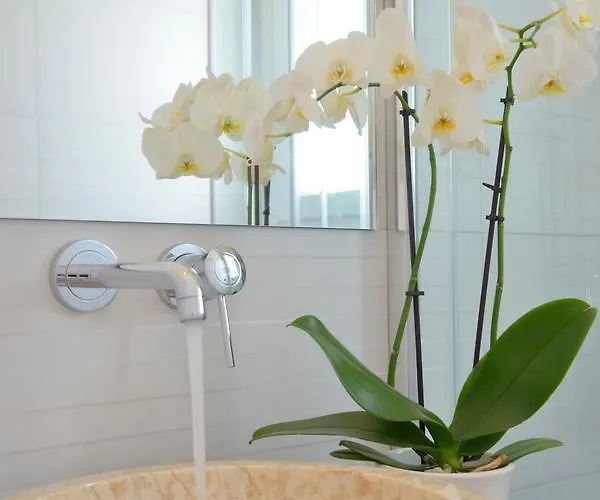 Hawk Stone אדאמאס