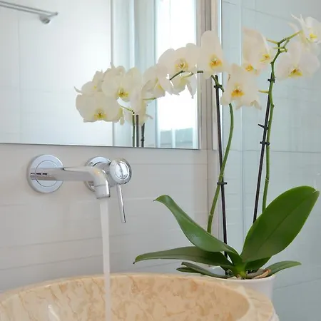 Hawk Stone אדאמאס